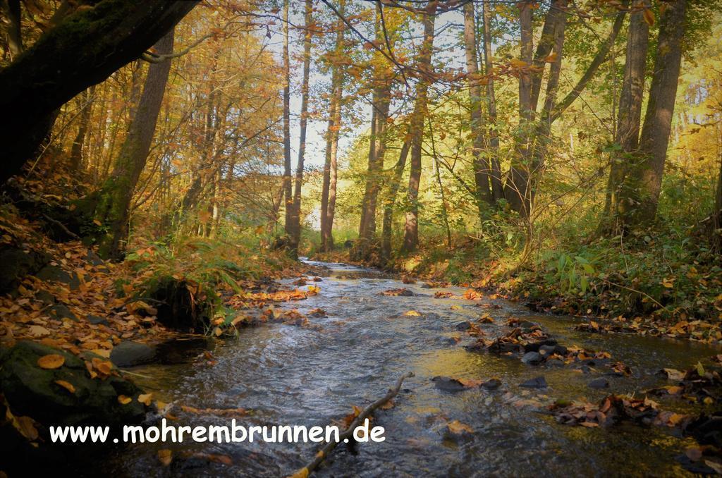 Hotel & Cafe Mohrenbrunnen Eisenberg  Buitenkant foto
