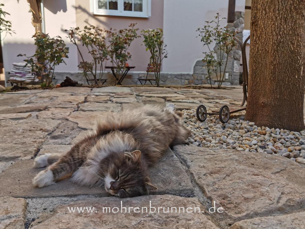 Hotel & Cafe Mohrenbrunnen Eisenberg  Buitenkant foto